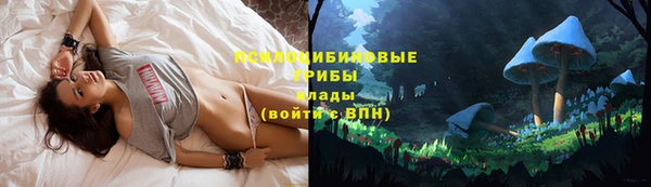 молекула духа Верея