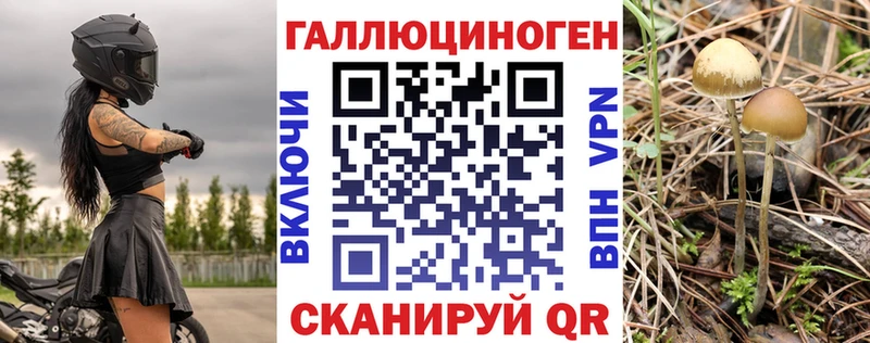 как найти закладки  Нижний Новгород  Псилоцибиновые грибы Cubensis 